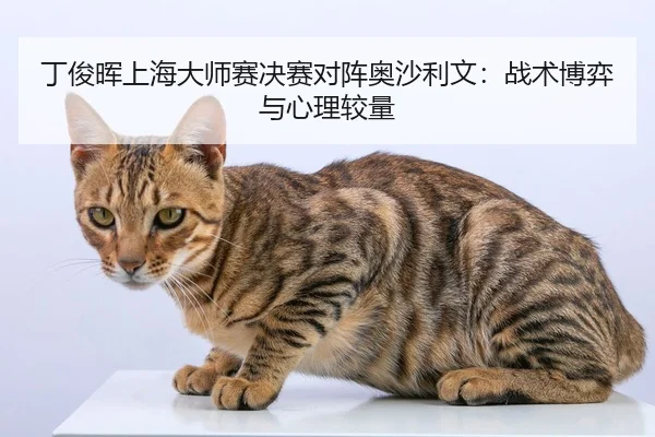 丁俊晖上海大师赛决赛对阵奥沙利文：战术博弈与心理较量